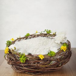 Easter digital backdrop