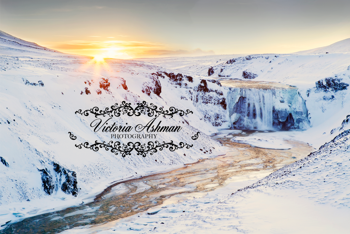 Microstock Image Libraries