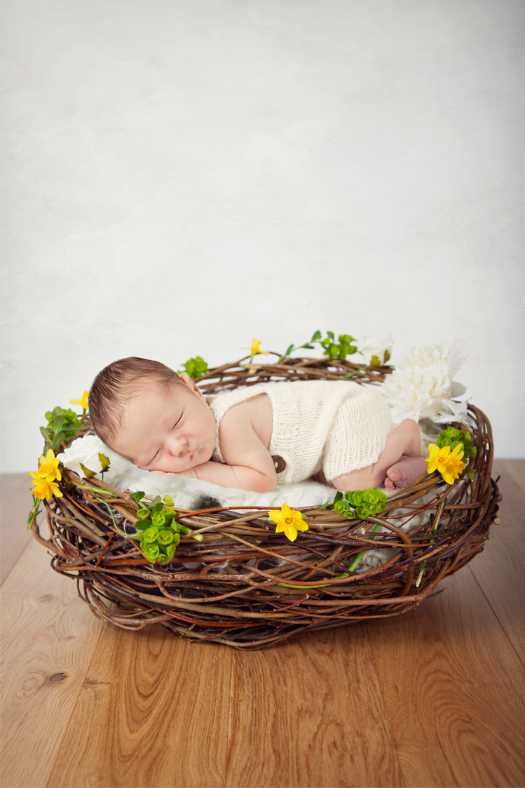 Easter Digital backdrop, a digital prop newborn nest with daffodils Easter digital backdrop
