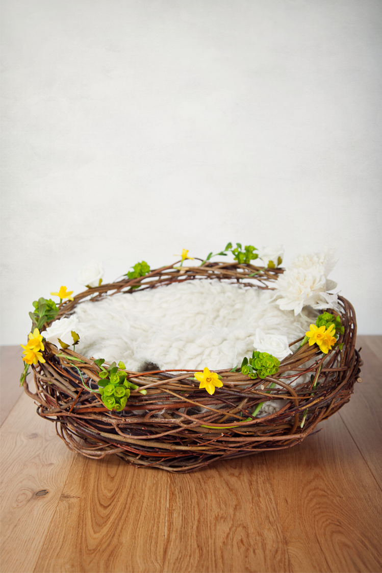 Easter Digital backdrop, a digital prop newborn nest with daffodils Easter digital backdrops
