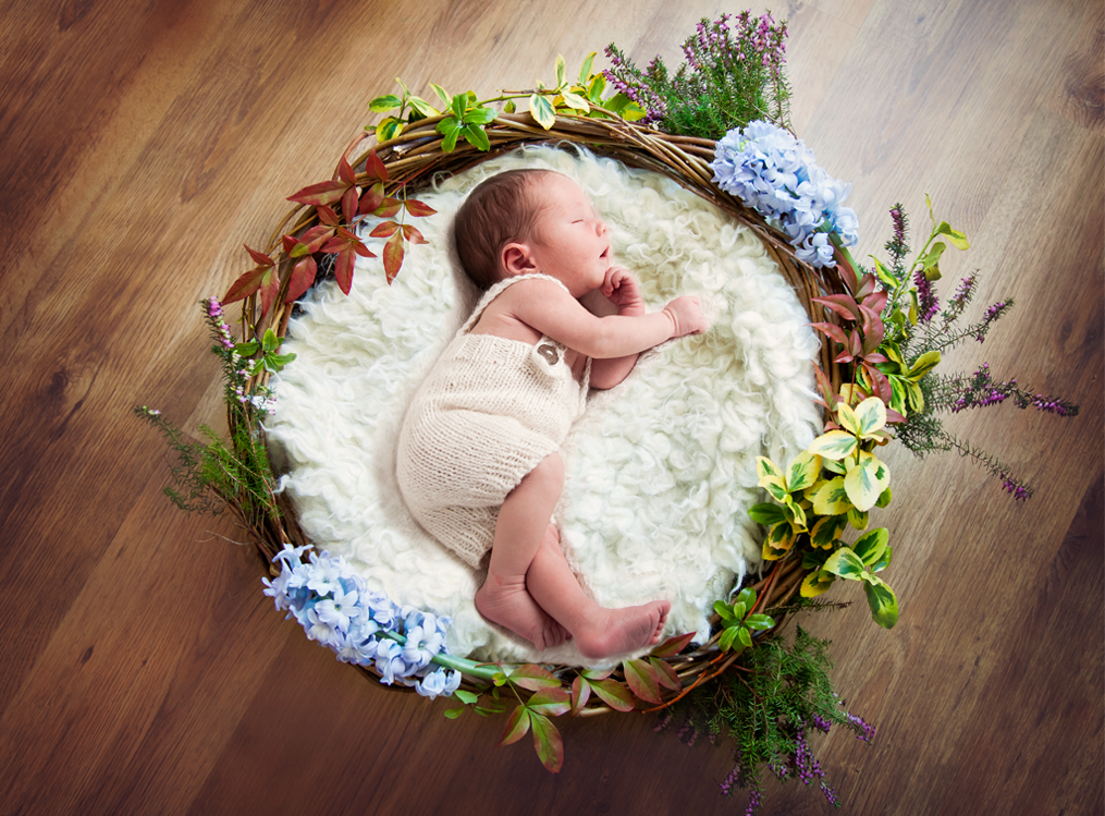 Digital Backdrop, digital prop, flower garland on newborn nest Digital backdrop