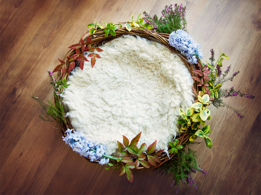 Digital Backdrop, digital prop, flower garland on newborn nest Digital backdrop